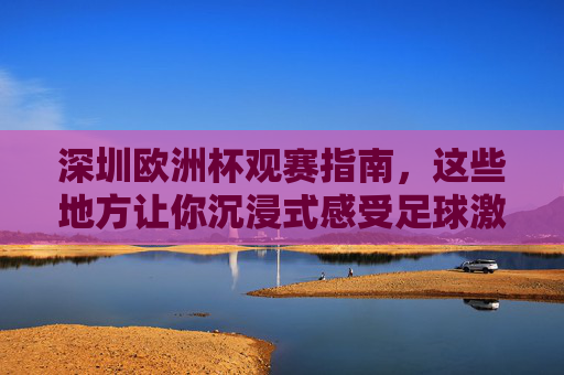 深圳欧洲杯观赛指南，这些地方让你沉浸式感受足球激情，深圳欧洲杯观赛指南，沉浸式感受足球激情
