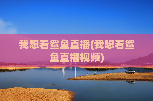我想看鲨鱼直播(我想看鲨鱼直播视频)
