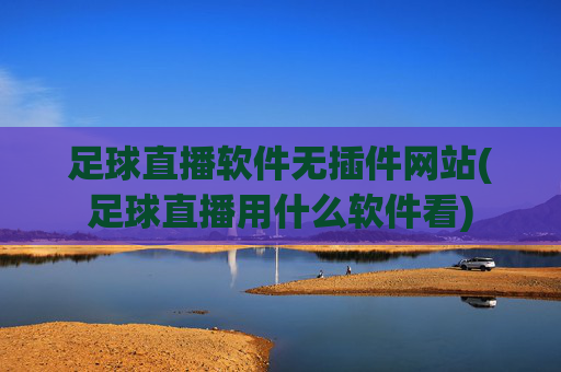足球直播软件无插件网站(足球直播用什么软件看)