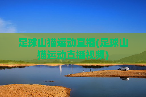 足球山猫运动直播(足球山猫运动直播视频)