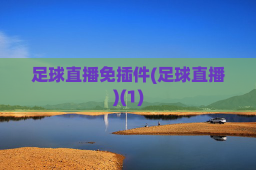 足球直播免插件(足球直播)(1)