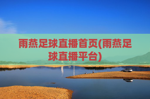 雨燕足球直播首页(雨燕足球直播平台)