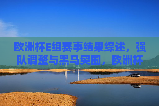 欧洲杯E组赛事结果综述,强队调整与黑马突围,欧洲杯E组综述,强队调整与黑马突围