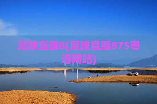 足球直播8(足球直播875粤语网站)