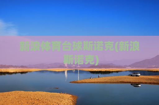 新浪体育台球斯诺克(新浪 斯诺克)