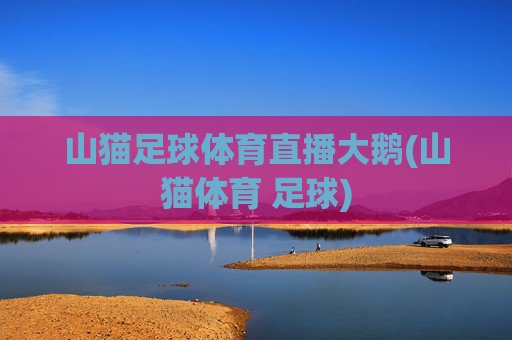 山猫足球体育直播大鹅(山猫体育 足球)