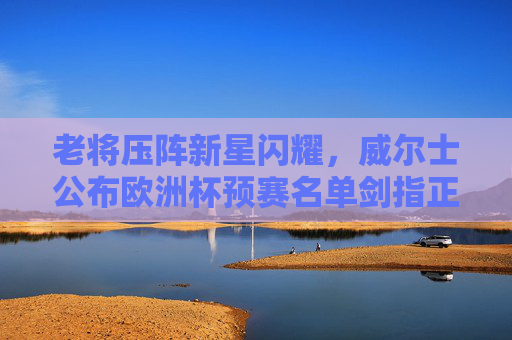 老将压阵新星闪耀，威尔士公布欧洲杯预赛名单剑指正赛资格，威尔士欧洲杯预赛名单，老将压阵新星闪耀，剑指正赛资格