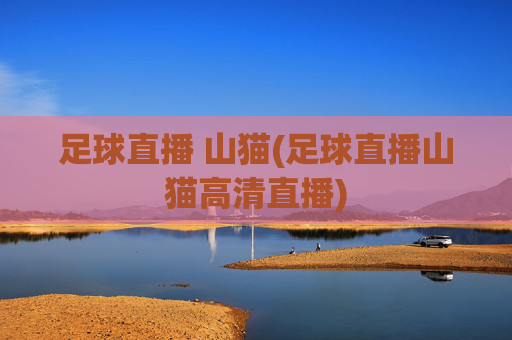 足球直播 山猫(足球直播山猫高清直播)