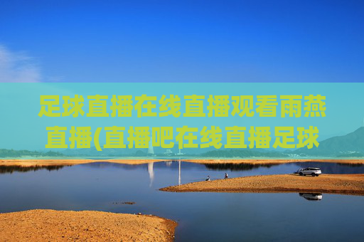 足球直播在线直播观看雨燕直播(直播吧在线直播足球)