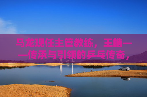马龙现任主管教练,王皓——传承与引领的乒乓传奇,王皓,传承引领,乒乓传奇