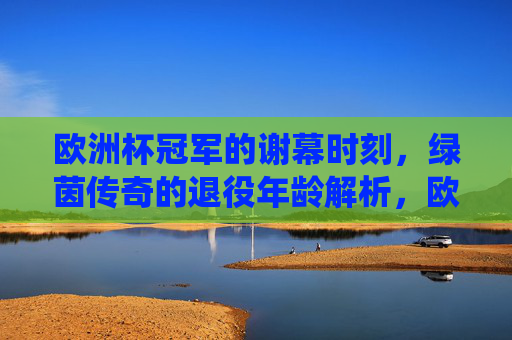 欧洲杯冠军的谢幕时刻,绿茵传奇的退役年龄解析,欧洲杯冠军的谢幕,绿茵传奇退役年龄解析