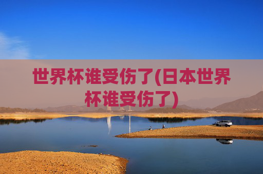 世界杯谁受伤了(日本世界杯谁受伤了)