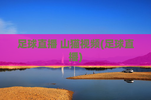 足球直播 山猫视频(足球直播)
