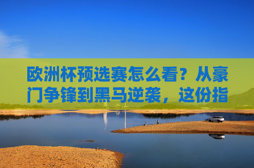 欧洲杯预选赛怎么看？从豪门争锋到黑马逆袭，这份指南让你看懂门道，欧洲杯预选赛指南，豪门争锋与黑马逆袭的门道