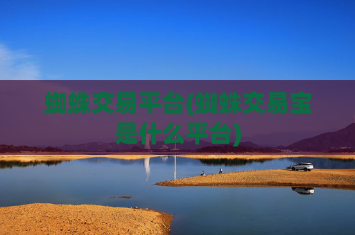 蜘蛛交易平台(蜘蛛交易宝是什么平台)