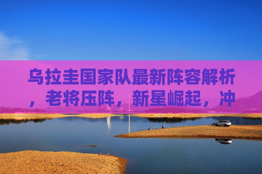 乌拉圭国家队最新阵容解析，老将压阵，新星崛起，冲击美洲杯，乌拉圭国家队最新阵容，老将压阵新星崛起，冲击美洲杯