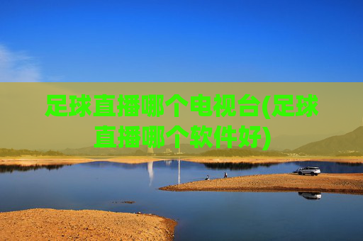 足球直播哪个电视台(足球直播哪个软件好)