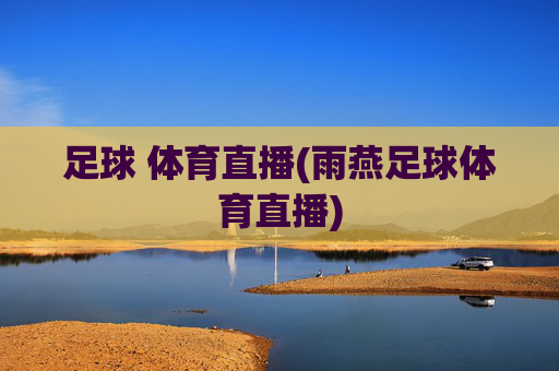 足球 体育直播(雨燕足球体育直播)