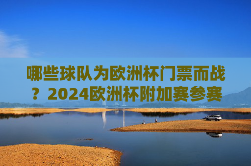 哪些球队为欧洲杯门票而战?2024欧洲杯附加赛参赛队伍全解析,2024欧洲杯附加赛参赛队伍争夺门票全解析