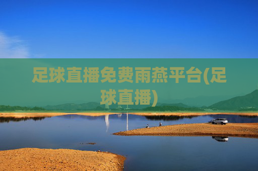 足球直播免费雨燕平台(足球直播)