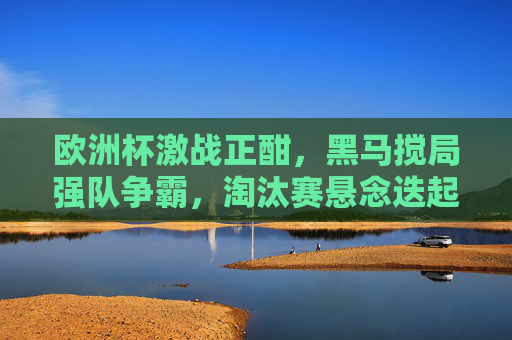 欧洲杯激战正酣，黑马搅局强队争霸，淘汰赛悬念迭起，欧洲杯淘汰赛，黑马搅局强队争霸，悬念迭起