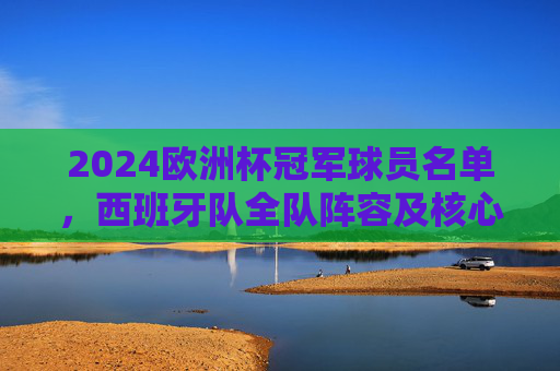 2024欧洲杯冠军球员名单,西班牙队全队阵容及核心球员解析
