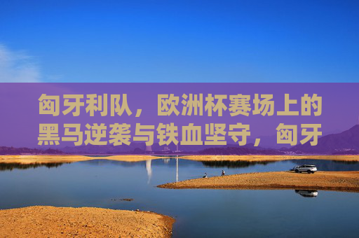 匈牙利队,欧洲杯赛场上的黑马逆袭与铁血坚守,匈牙利欧洲杯,黑马逆袭与铁血坚守