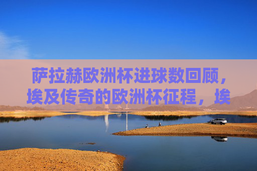 萨拉赫欧洲杯进球数回顾,埃及传奇的欧洲杯征程,埃及传奇萨拉赫,欧洲杯进球回顾与征程