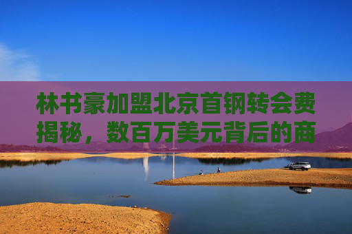 林书豪加盟北京首钢转会费揭秘，数百万美元背后的商业与竞技考量，林书豪加盟北京首钢转会费，数百万美元的商业与竞技考量