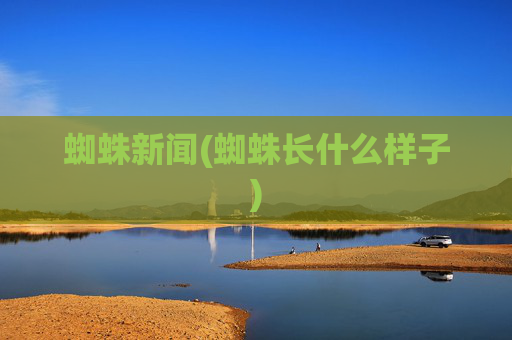 蜘蛛新闻(蜘蛛长什么样子)