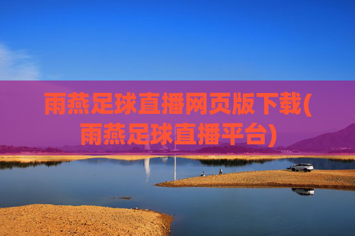 雨燕足球直播网页版下载(雨燕足球直播平台)