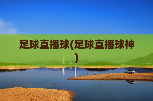 足球直播球(足球直播球神)