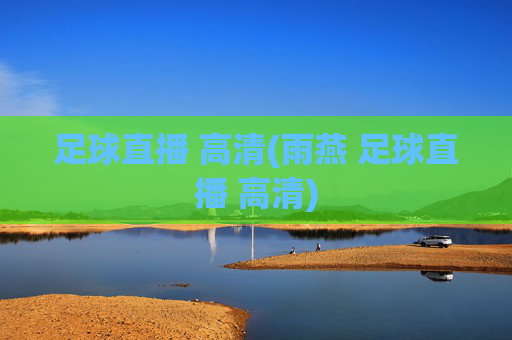 足球直播 高清(雨燕 足球直播 高清)