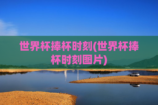 世界杯捧杯时刻(世界杯捧杯时刻图片)