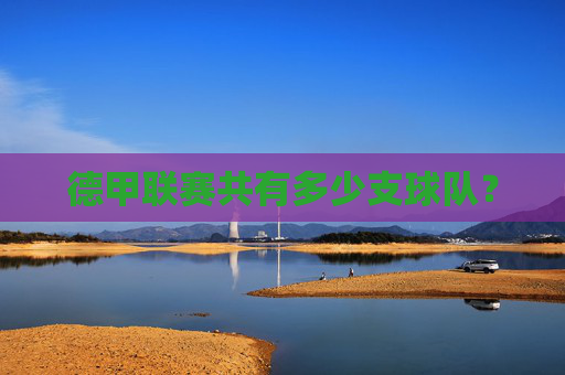 德甲联赛共有多少支球队?