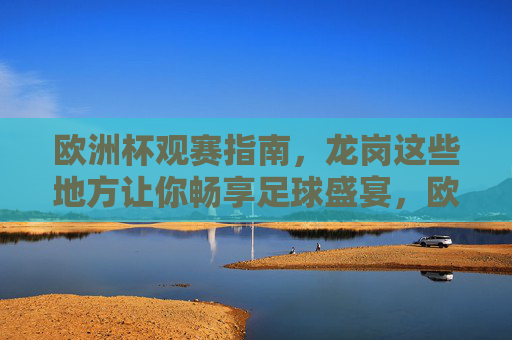 欧洲杯观赛指南,龙岗这些地方让你畅享足球盛宴,欧洲杯观赛指南,龙岗这些地方畅享足球盛宴