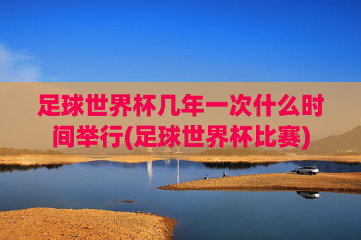 足球世界杯几年一次什么时间举行(足球世界杯比赛)