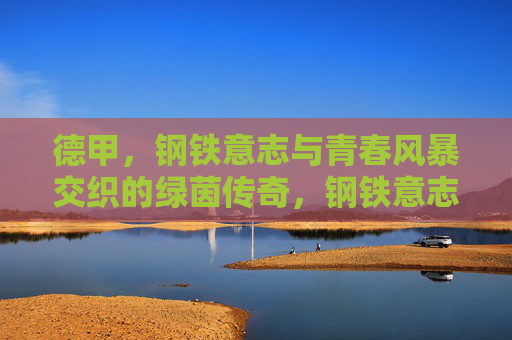 德甲，钢铁意志与青春风暴交织的绿茵传奇，钢铁意志·青春风暴，德甲绿茵传奇