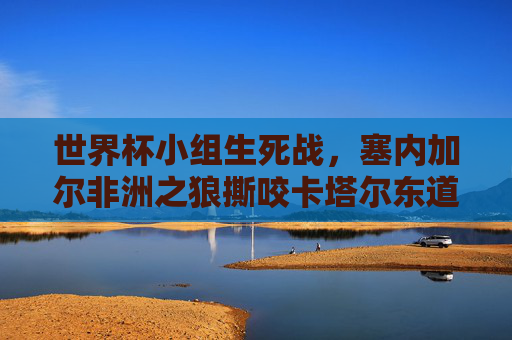 世界杯小组生死战,塞内加尔非洲之狼撕咬卡塔尔东道主梦,培律之下见真章