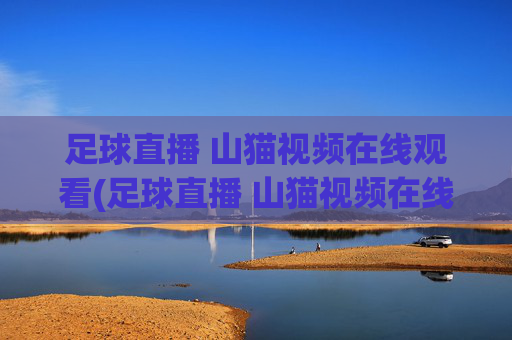 足球直播 山猫视频在线观看(足球直播 山猫视频在线观看免费)