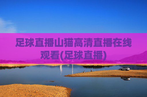 足球直播山猫高清直播在线观看(足球直播)