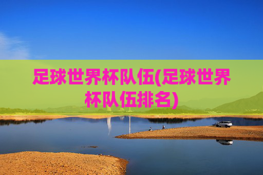 足球世界杯队伍(足球世界杯队伍排名)