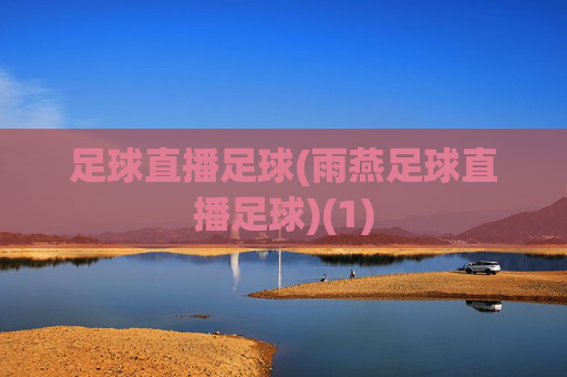 足球直播足球(雨燕足球直播足球)(1)