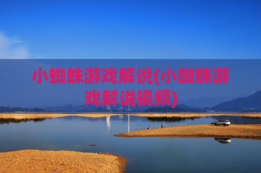 小蜘蛛游戏解说(小蜘蛛游戏解说视频)