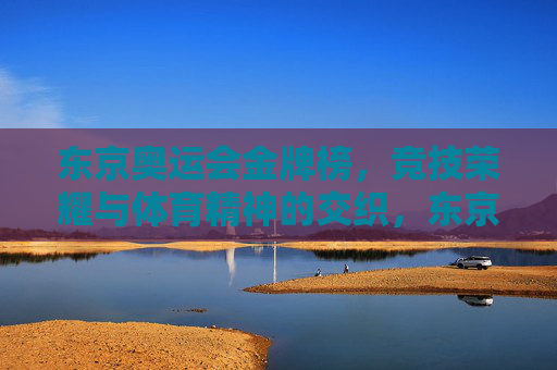 东京奥运会金牌榜，竞技荣耀与体育精神的交织，东京奥运会金牌榜，竞技荣耀与体育精神的辉映