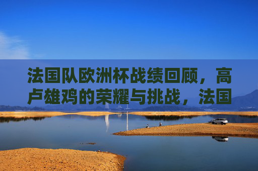 法国队欧洲杯战绩回顾，高卢雄鸡的荣耀与挑战，法国队欧洲杯回顾，高卢雄鸡的荣耀与挑战