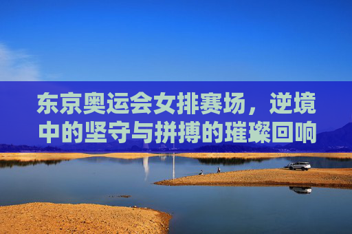 东京奥运会女排赛场,逆境中的坚守与拼搏的璀璨回响,东京奥运女排,逆境坚守,拼搏荣光