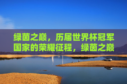 绿茵之巅，历届世界杯冠军国家的荣耀征程，绿茵之巅，世界杯冠军的荣耀征程