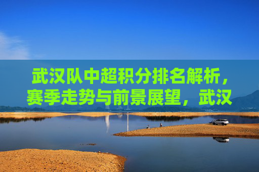 武汉队中超积分排名解析,赛季走势与前景展望,武汉队中超赛季,排名解析、走势与前景