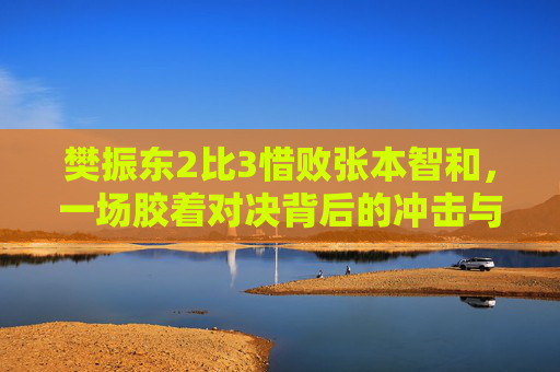 樊振东2比3惜败张本智和,一场胶着对决背后的冲击与警示,樊振东2比3惜败张本智和,胶着对决背后的冲击与警示